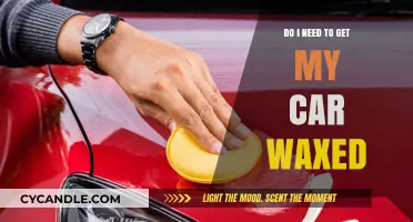 The Ultimate Guide to Car Waxing: Is It Really Necessary?
