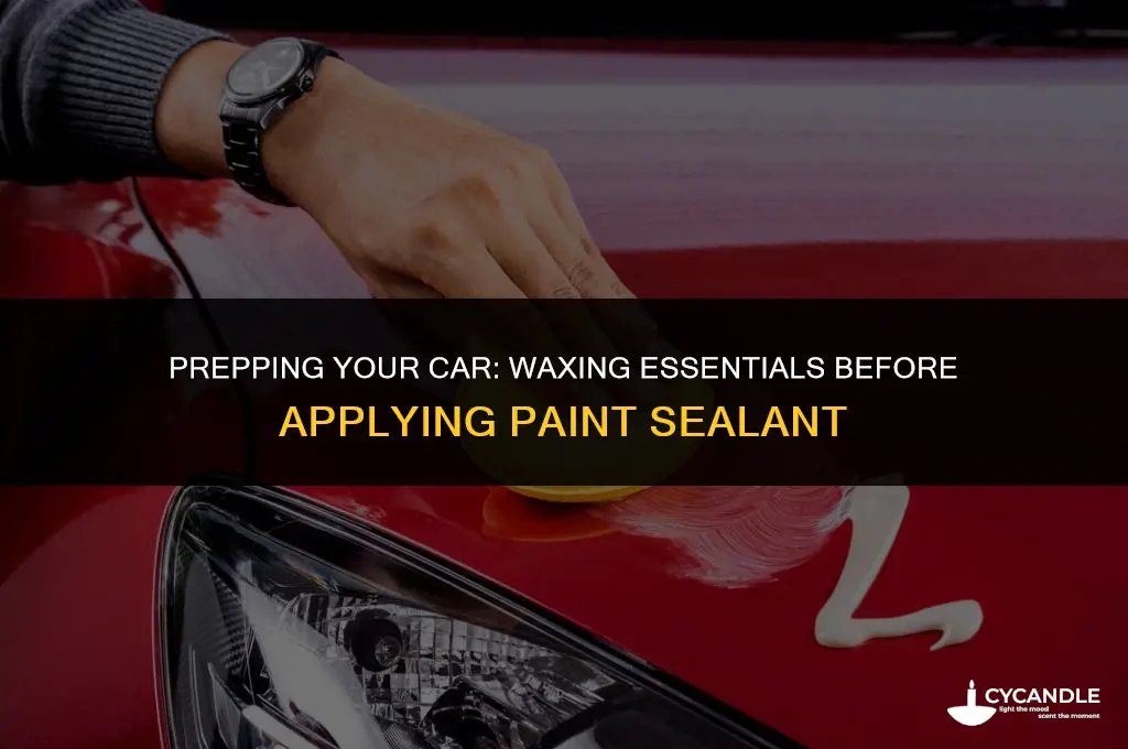 do i need to wax before using paint seal