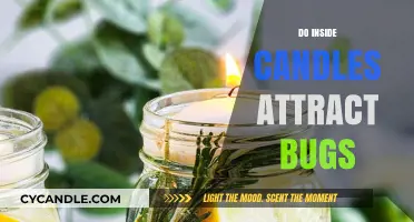 Inside Candles: Bug Attractors or Safe Scents?
