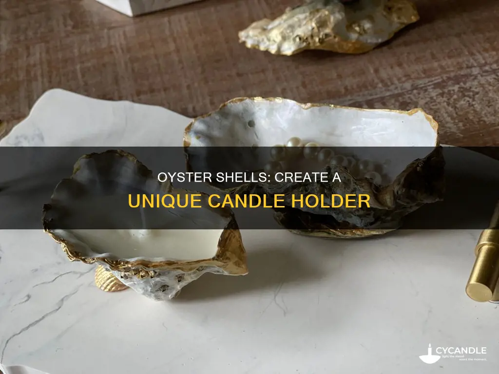do it yourself oyster shell candle holder