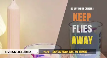 Lavender Candles: Natural Fly Repellent for Your Home