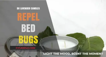 Lavender Candles: Effective Bed Bug Repellent?