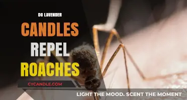 Lavender Candles: Effective Roach Repellent or Myth?