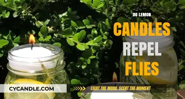 Lemon Candles: Effective Fly Repellent?