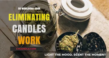 Do Marijuana Odor Eliminating Candles Actually Work? Our Verdict