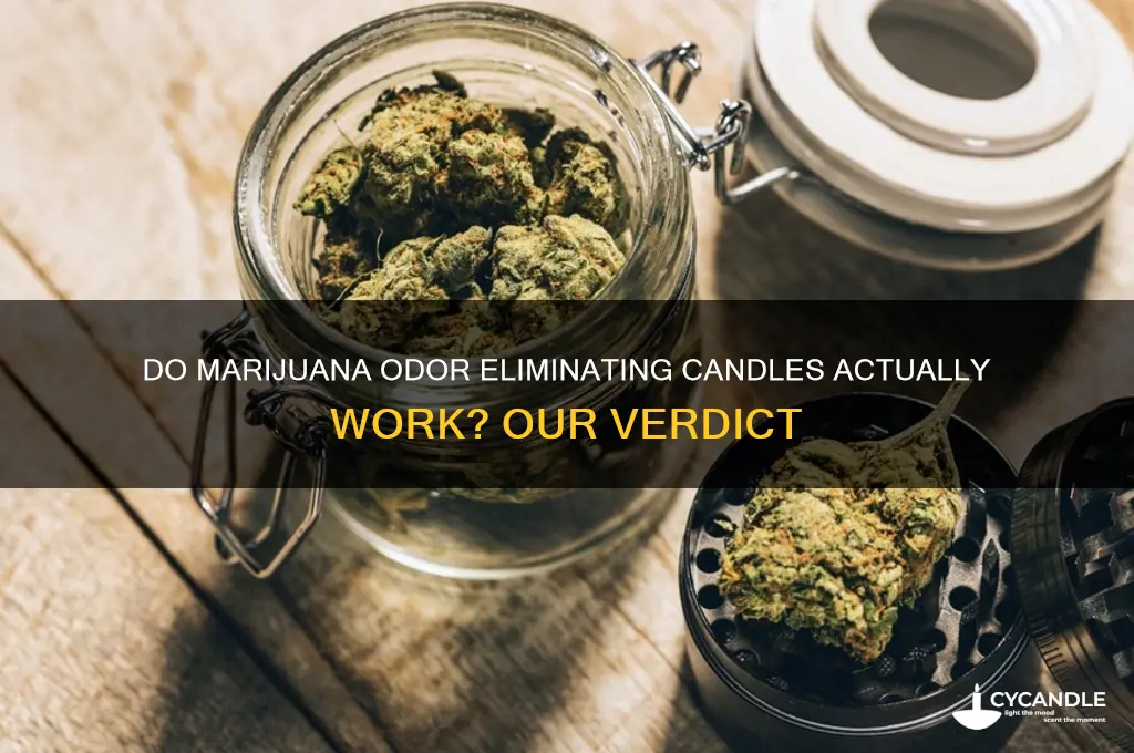 do marijuana odor eliminating candles work