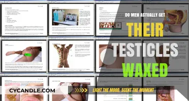 The Truth About Male Testicle Waxing: Facts and Myths