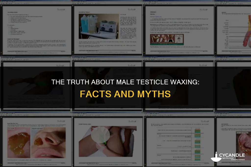 do men actually get their testicles waxed