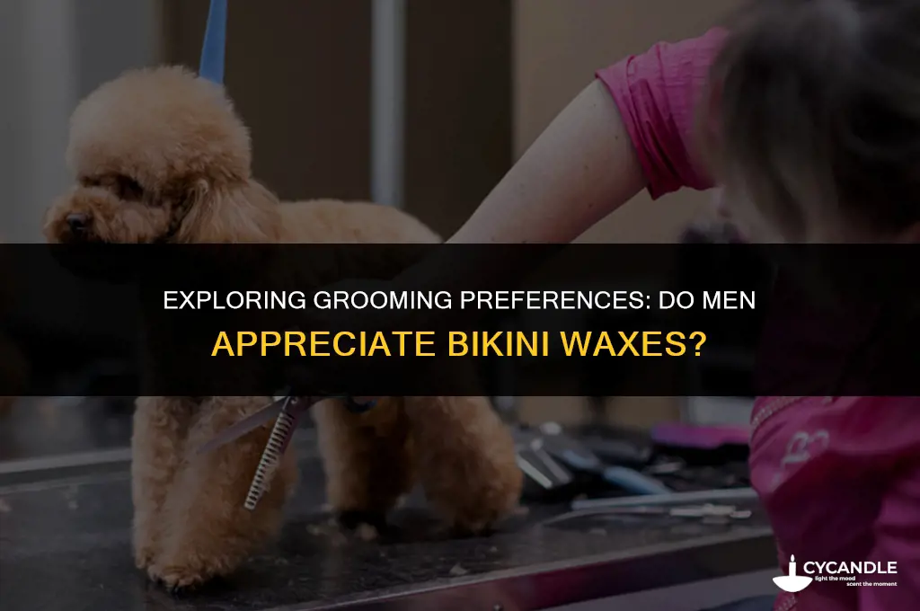 do men like bikini waxes