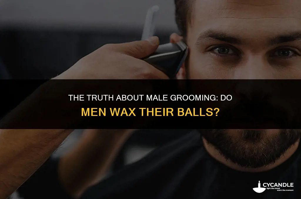 do men wax their balls