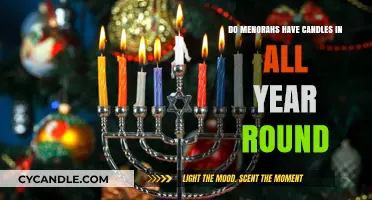 The Eternal Flame: Menorah Candles Explained