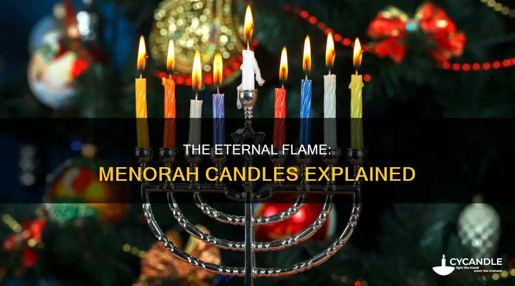 do menorahs have candles in all year round