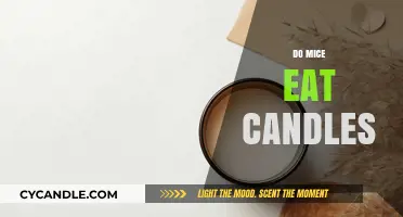 Mice and Candles: A Burning Curiosity