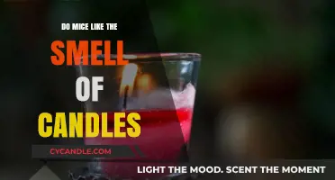 Mice and Candles: Aromas They Love or Hate