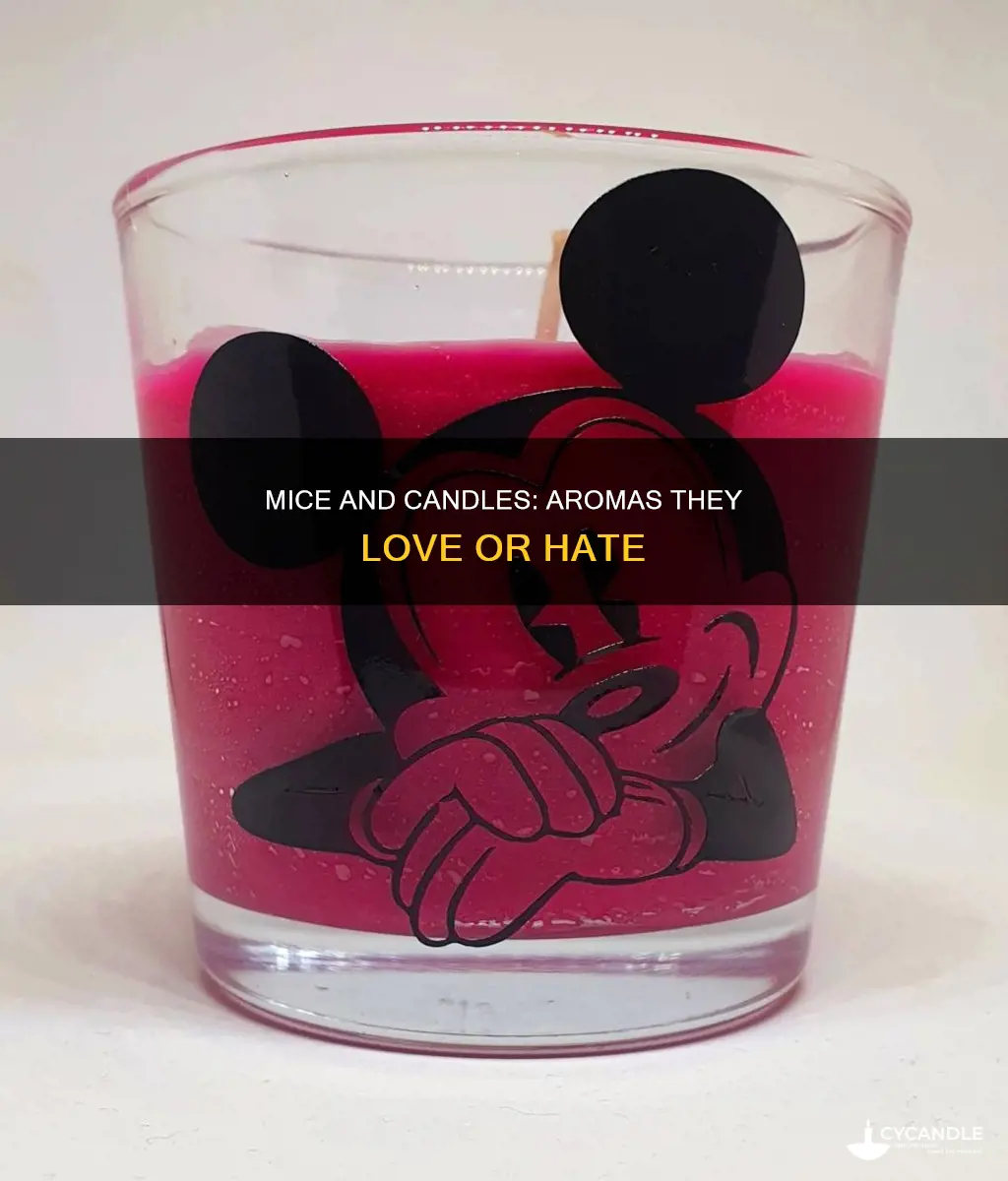 do mice like the smell of candles