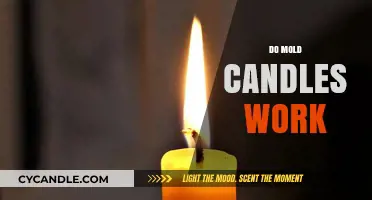 Do Mold Candles Work? Unveiling the Truth Behind This Trend