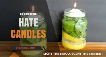 Mosquitoes and Candles: Repelling the Biters