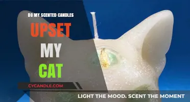 Scented Candles and Cats: Are Your Fragrances Upsetting Your Feline?