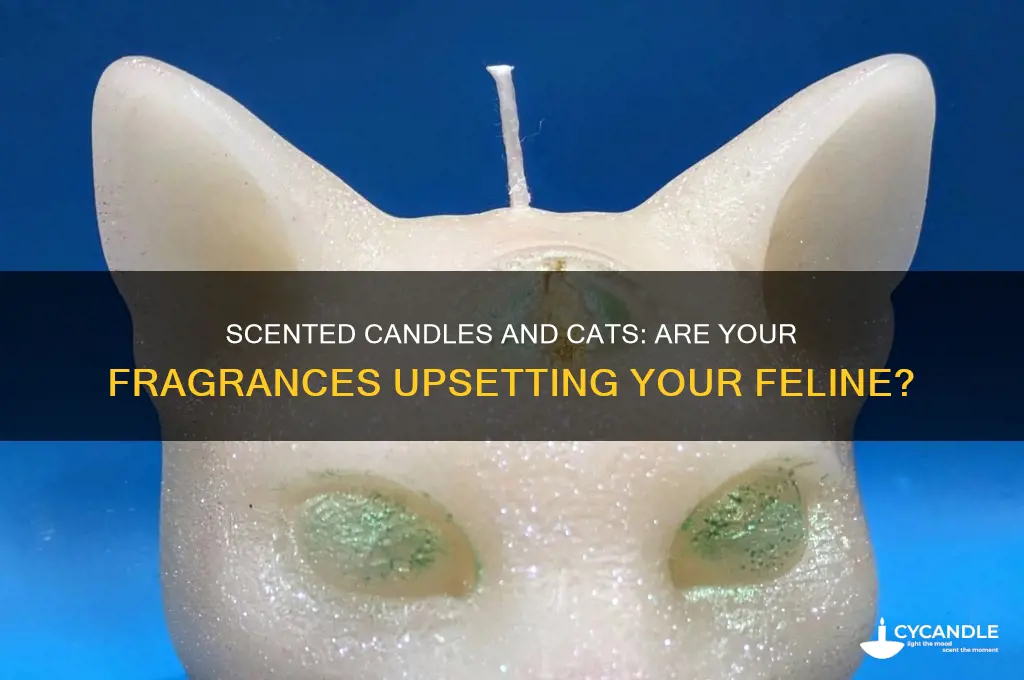 do my scented candles upset my cat