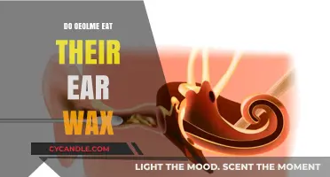 The Surprising Truth About Ear Wax Consumption