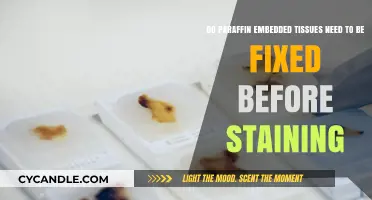 Fixation Requirement for Paraffin-Embedded Tissues Before Staining: Essential or Optional?