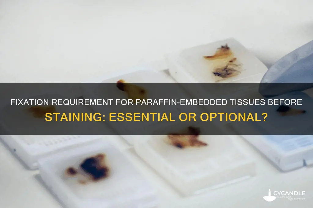 do paraffin embedded tissues need to be fixed before staining