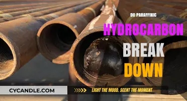 Do Paraffinic Hydrocarbons Break Down? Exploring Degradation and Environmental Impact
