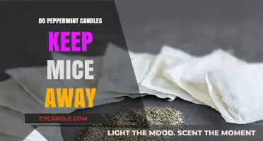 Peppermint Candles: Effective Mouse Repellent?