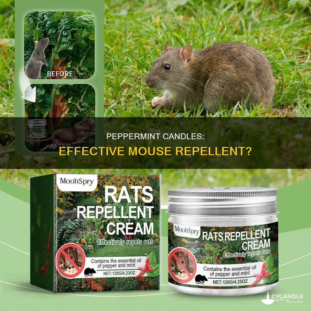 do peppermint candles keep mice away