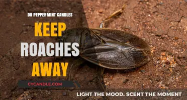 Peppermint Candles: Effective Roach Repellent?