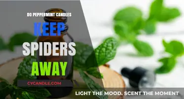 Peppermint Candles: Effective Spider Repellent or Myth?