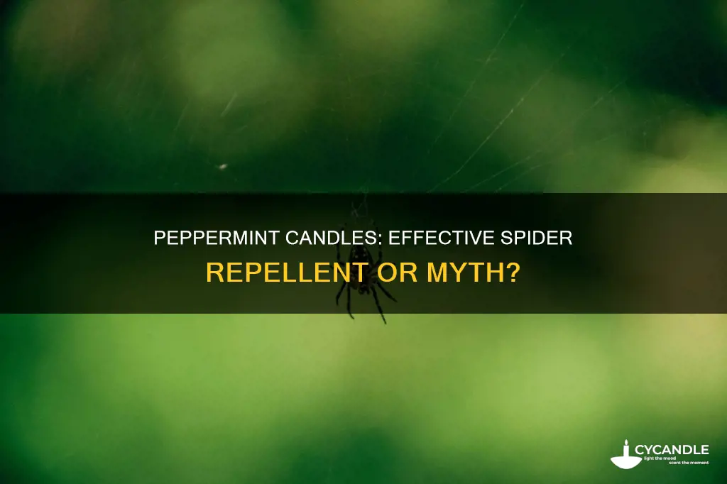 do peppermint candles keep spiders away