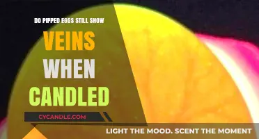 Candling Pipped Eggs: Veins Still Visible?