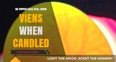 Candling Pipped Eggs: Veins Still Visible?