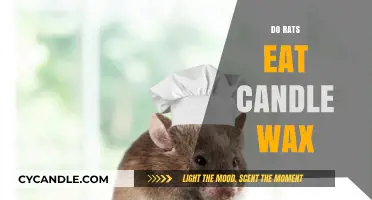 Do Rats Eat Candle Wax? Uncovering the Truth Behind Rodent Diets