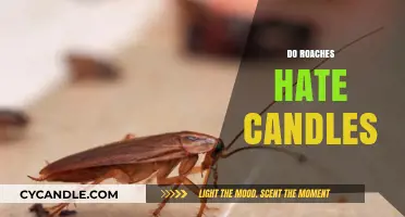 Cockroaches and Candles: A Pest-Repelling Solution?