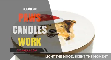 Do Sand and Paws Candles Work? A Comprehensive Review