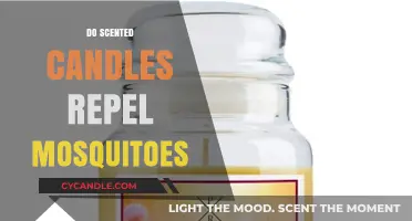 Scented Candles and Mosquitoes: Do Aromas Really Keep Bugs Away?