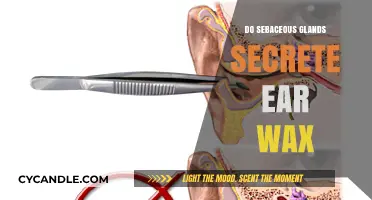The Truth About Sebaceous Glands and Ear Wax Production