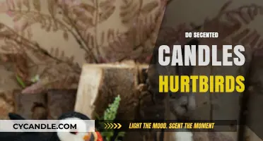 Scented Candles: Are They Safe for Birds?