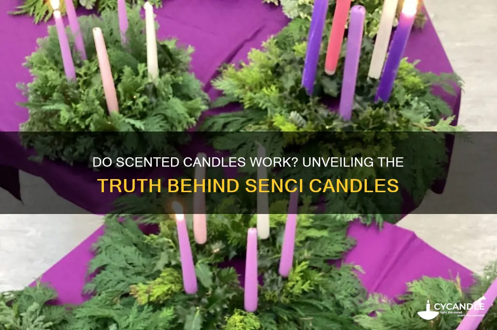 do senci candles work