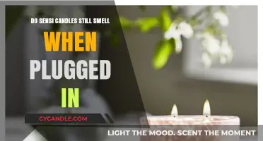 Scented Candles: Do They Still Smell When Plugged In?