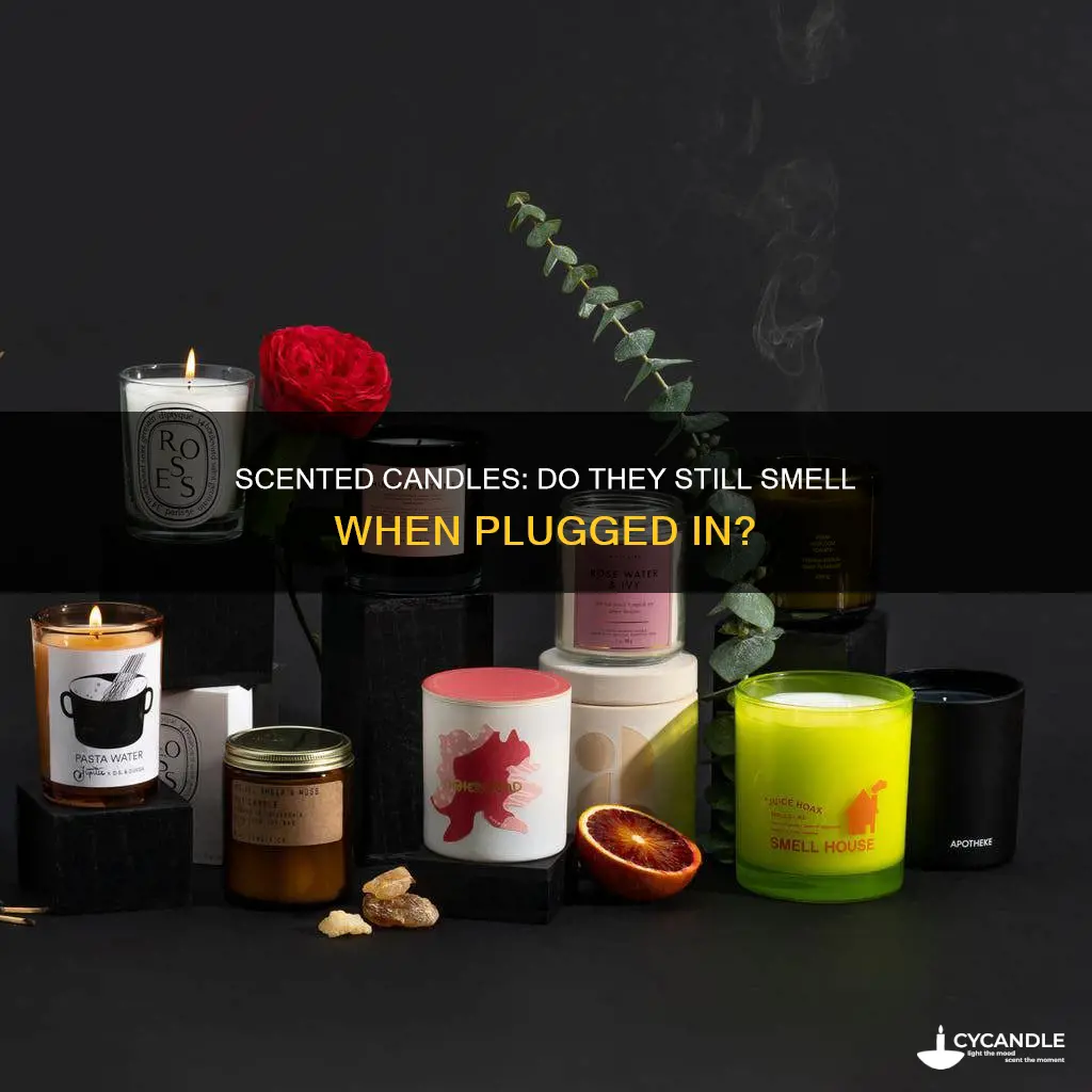 do sensi candles still smell when plugged in
