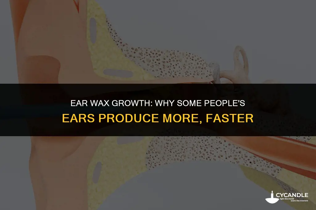 do some peoples ear wax grow quicker than others