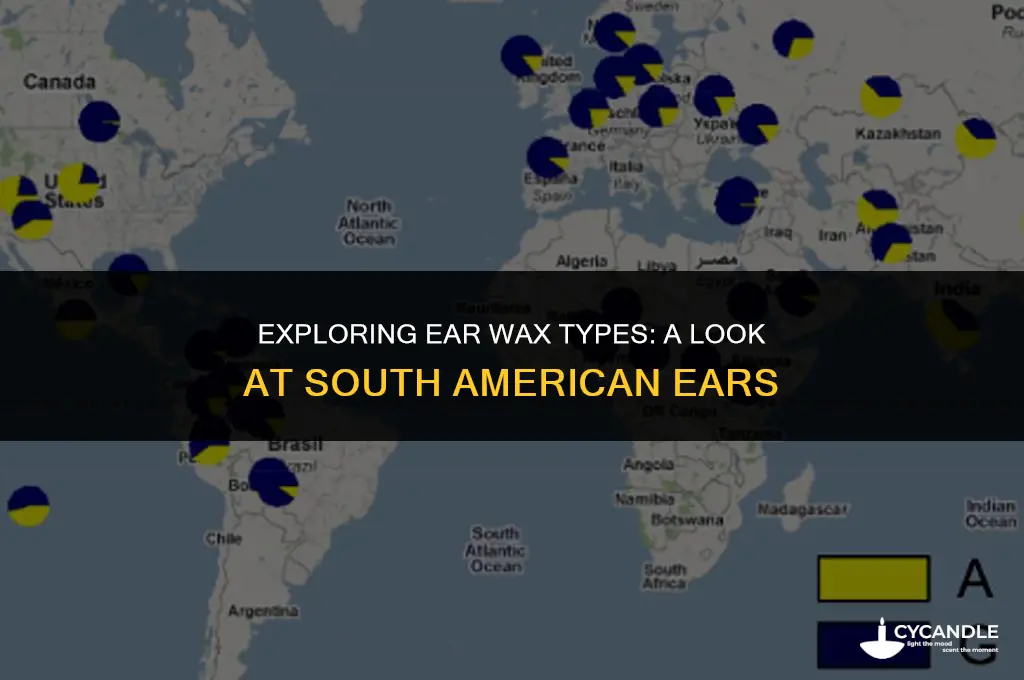 do south americans have dry ear wax