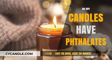 Soy Candles: Phthalate-Free and Safe?