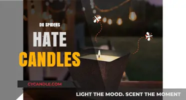 Spiders and Scented Candles: A Natural Repellent?