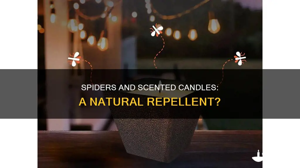 do spiders hate candles