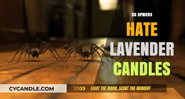 Lavender Candles: Spider Repellent or Old Wives' Tale?