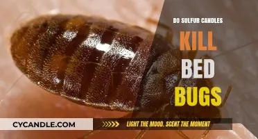 Sulfur Candles: Effective Bed Bug Treatment?